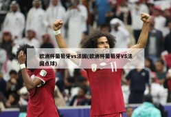 欧洲杯葡萄牙vs法国(欧洲杯葡萄牙VS法国点球)