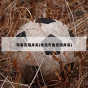 布鲁克斯身高(狄龙布鲁克斯身高)