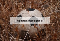 布鲁克斯身高(狄龙布鲁克斯身高)