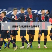世界杯在线(世界杯在线观看)