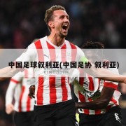 中国足球叙利亚(中国足协 叙利亚)