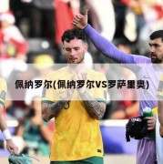 佩纳罗尔(佩纳罗尔VS罗萨里奥)