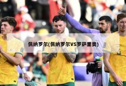 佩纳罗尔(佩纳罗尔VS罗萨里奥)