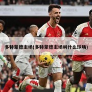 多特蒙德主场(多特蒙德主场叫什么球场)