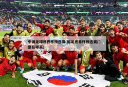 中国足球世界杯预选赛(国足世界杯预选赛门票在哪买)