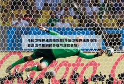 全国卫视在线直播观看(全国卫视在线直播观看高清电视剧的步骤与注意事项)