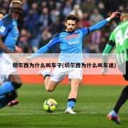 切尔西为什么叫车子(切尔西为什么叫车迷)