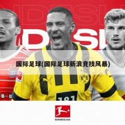国际足球(国际足球新浪竞技风暴)