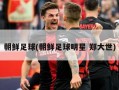朝鲜足球(朝鲜足球明星 郑大世)