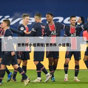 世界杯小组赛程(世界杯 小组赛)