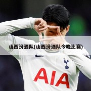 山西汾酒队(山西汾酒队今晚比赛)