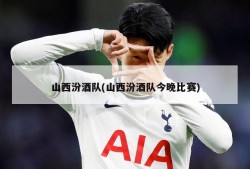 山西汾酒队(山西汾酒队今晚比赛)