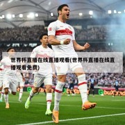 世界杯直播在线直播观看(世界杯直播在线直播观看免费)