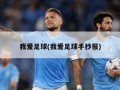 我爱足球(我爱足球手抄报)