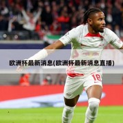 欧洲杯最新消息(欧洲杯最新消息直播)