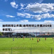 迪拜网球公开赛(迪拜网球公开赛2024女单冠军)