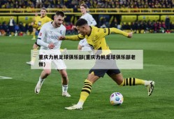 重庆力帆足球俱乐部(重庆力帆足球俱乐部老板)
