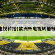 欧洲杯电视转播(欧洲杯电视转播权多少钱)