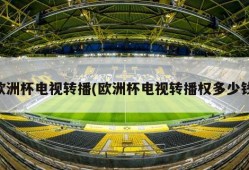 欧洲杯电视转播(欧洲杯电视转播权多少钱)