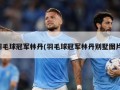 羽毛球冠军林丹(羽毛球冠军林丹别墅图片)