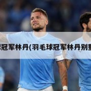 羽毛球冠军林丹(羽毛球冠军林丹别墅图片)