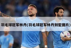 羽毛球冠军林丹(羽毛球冠军林丹别墅图片)