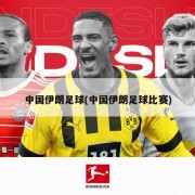 中国伊朗足球(中国伊朗足球比赛)