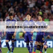 西班牙世界杯(2014西班牙世界杯)