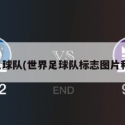 世界足球队(世界足球队标志图片和名字)