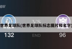 世界足球队(世界足球队标志图片和名字)