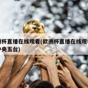 欧洲杯直播在线观看(欧洲杯直播在线观看免费中央五台)