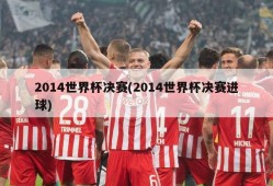 2014世界杯决赛(2014世界杯决赛进球)