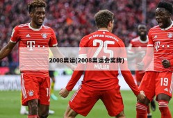 2008奥运(2008奥运会奖牌)
