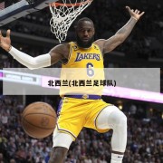 北西兰(北西兰足球队)