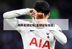 纯粹足球论坛(足球论坛社区)