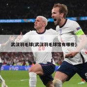 武汉羽毛球(武汉羽毛球馆有哪些)