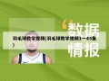 羽毛球教学视频(羽毛球教学视频1一45集)