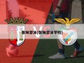 张琳游泳(张琳游泳学校)