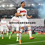 加索尔父母(加索尔是亲兄弟吗)