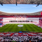 中国世界杯(中国世界杯是哪一年)