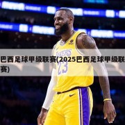巴西足球甲级联赛(2025巴西足球甲级联赛)