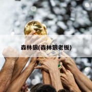 森林狼(森林狼老板)