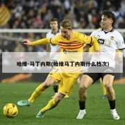 哈维-马丁内斯(哈维马丁内斯什么档次)