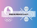 伊朗足球(伊朗足球什么水平)
