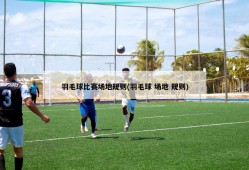 羽毛球比赛场地规则(羽毛球 场地 规则)