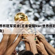 世界杯冠军奖金(王者荣耀kwc世界杯冠军奖金)