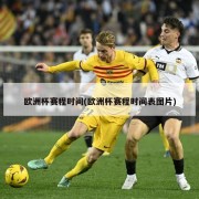欧洲杯赛程时间(欧洲杯赛程时间表图片)