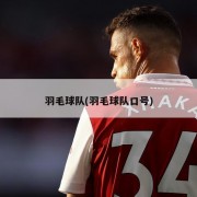 羽毛球队(羽毛球队口号)