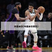 阿德米尔(阿德米尔照片)