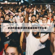 欧洲杯重播(欧洲杯重播在哪个平台看)